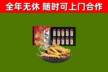 大荔回收冬虫夏草价格